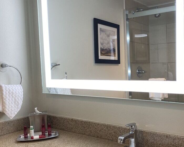 Номер Стандарт 2 Двуспальные Кровати, Best Western Premier Denver East