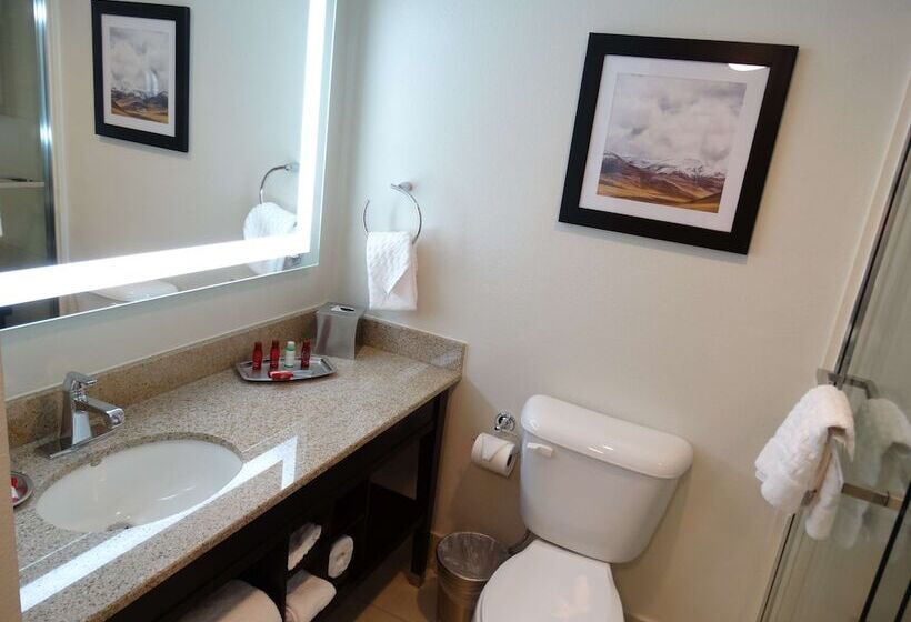 Номер Стандарт Двуспальная Кровать, Best Western Premier Denver East