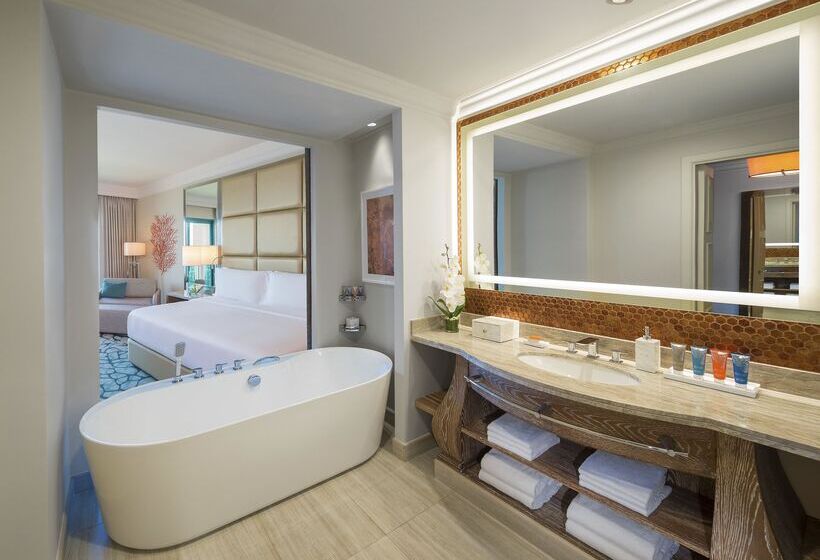 اتاق استاندارد با تخت بزرگ, Atlantis, The Palm