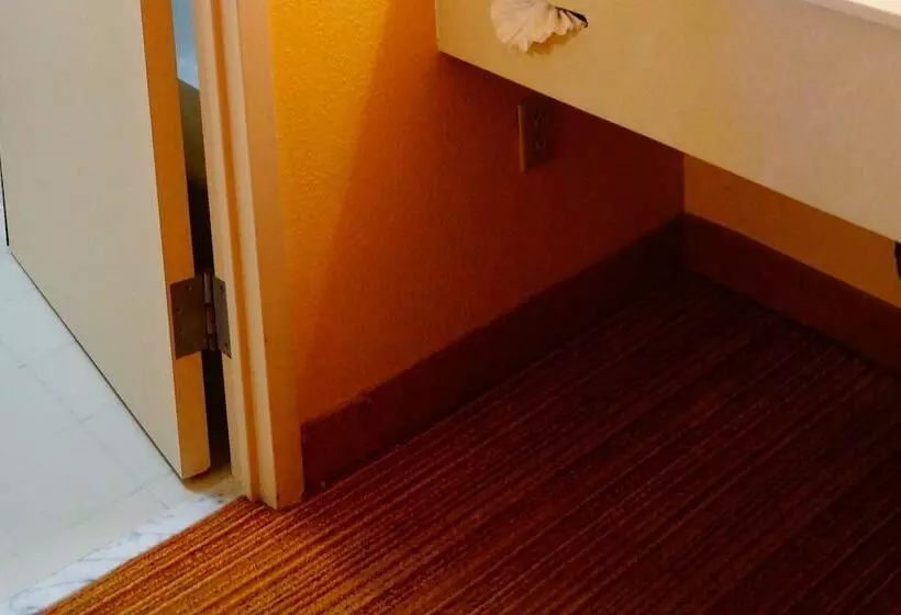 اتاق استاندارد با 2 تخت دوبل, Courtyard Monterrey Airport
