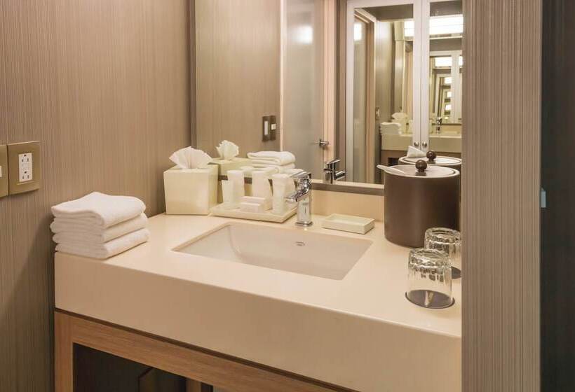 2ダブルベッドのスタンダードルーム, Courtyard Monterrey Airport