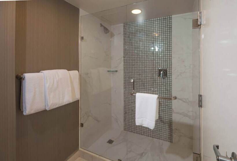 2ダブルベッドのスタンダードルーム, Courtyard Monterrey Airport