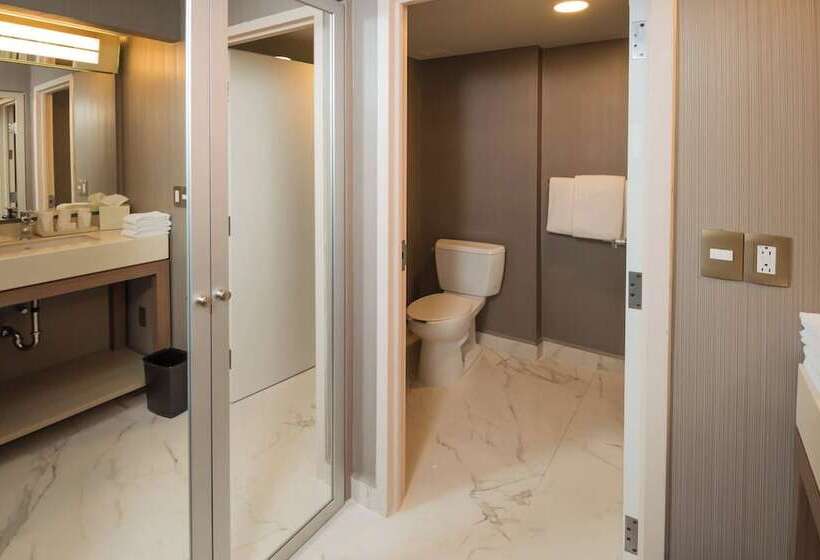 2ダブルベッドのスタンダードルーム, Courtyard Monterrey Airport