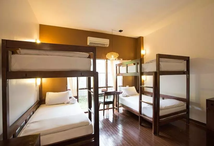 Bed in Shared Room with Shared Bathroom, Eco Resort Chiang Mai