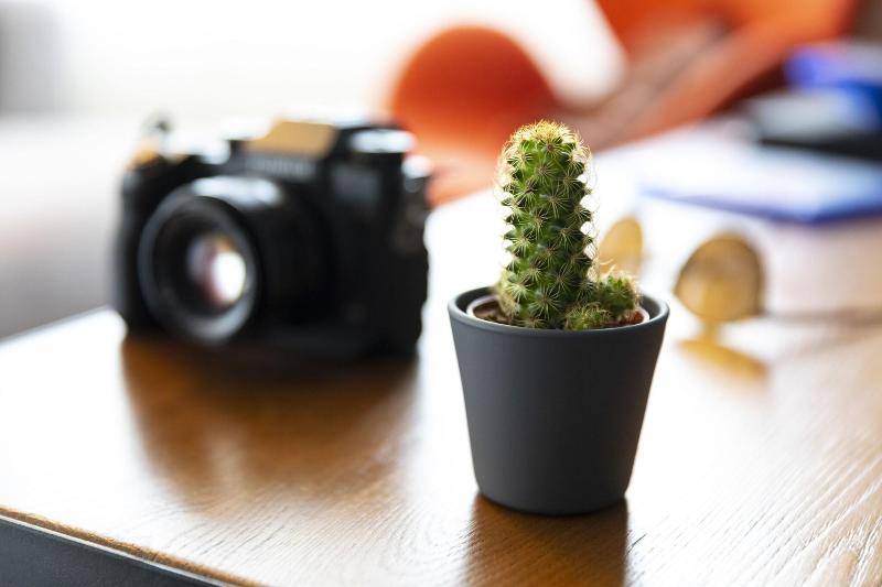 Номер Стандарт Трехместный, Pentahotel Rostock