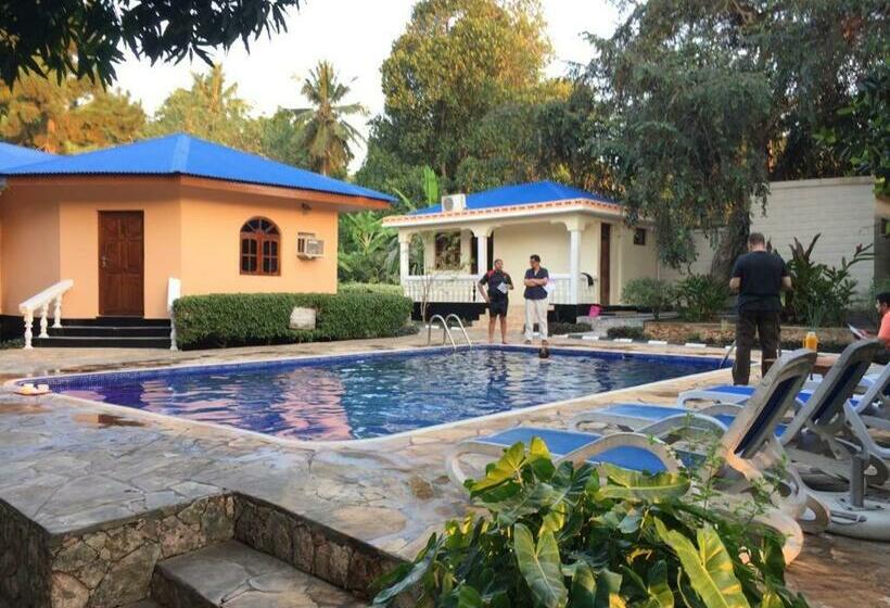 标准间带游泳池, Safina Resort