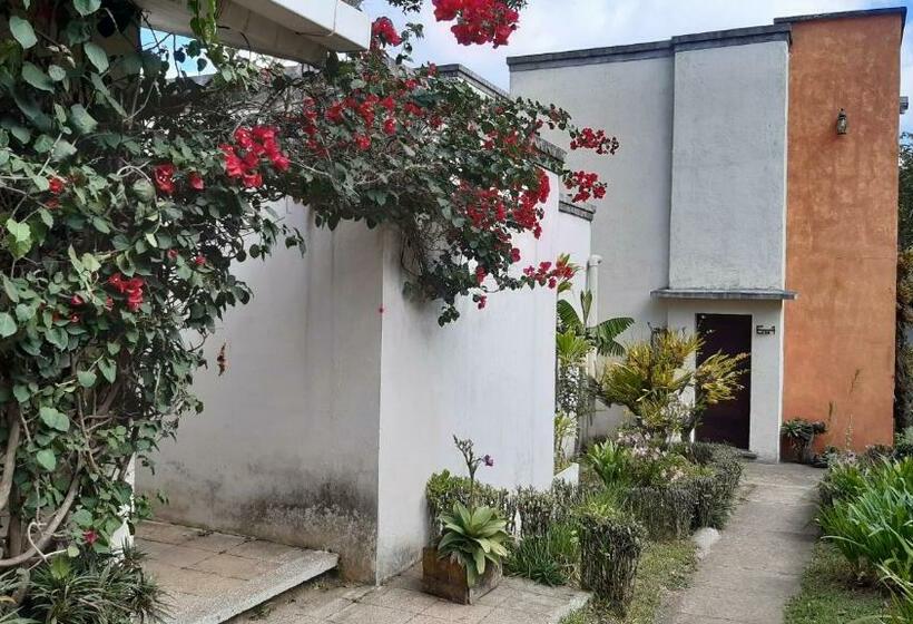 غرفة قياسية, Casa 1800 Ataco Hotel Boutique