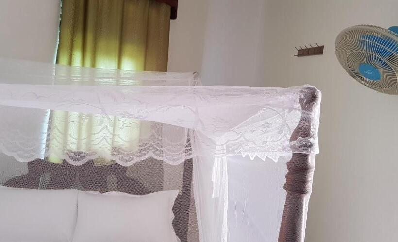 اتاق استاندارد, Northern Pearl