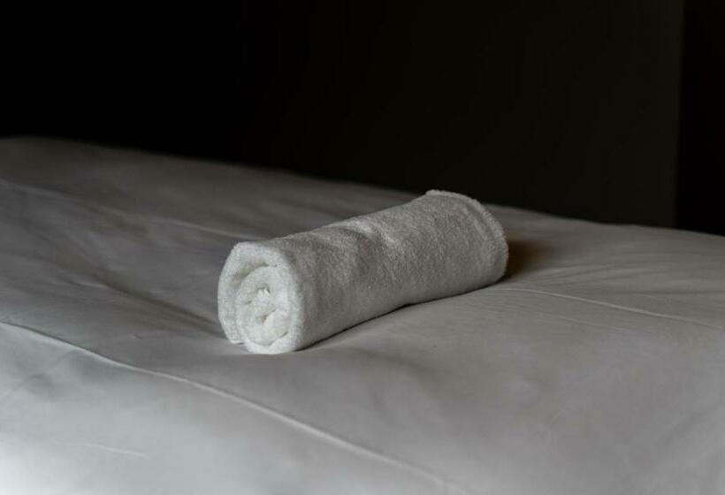 Standard-huone Jaettu Kylpyhuone, Wise Owl Hostels River Tokyo