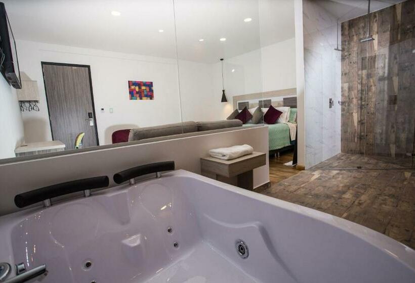 סוויטה, Aristo Gold