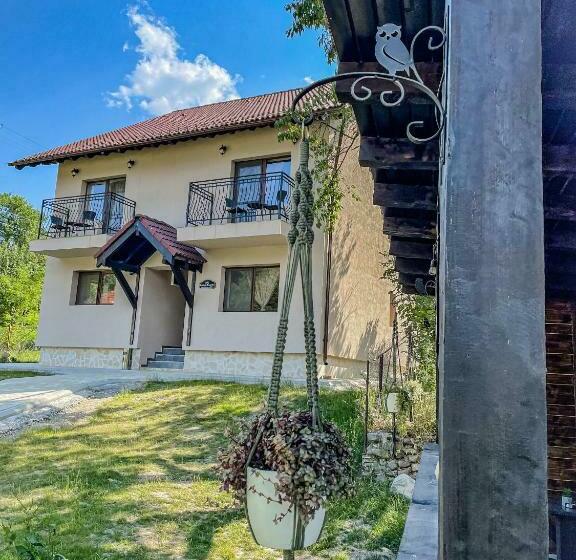 带大床的豪华间, Transylvania Mountain View Cdi