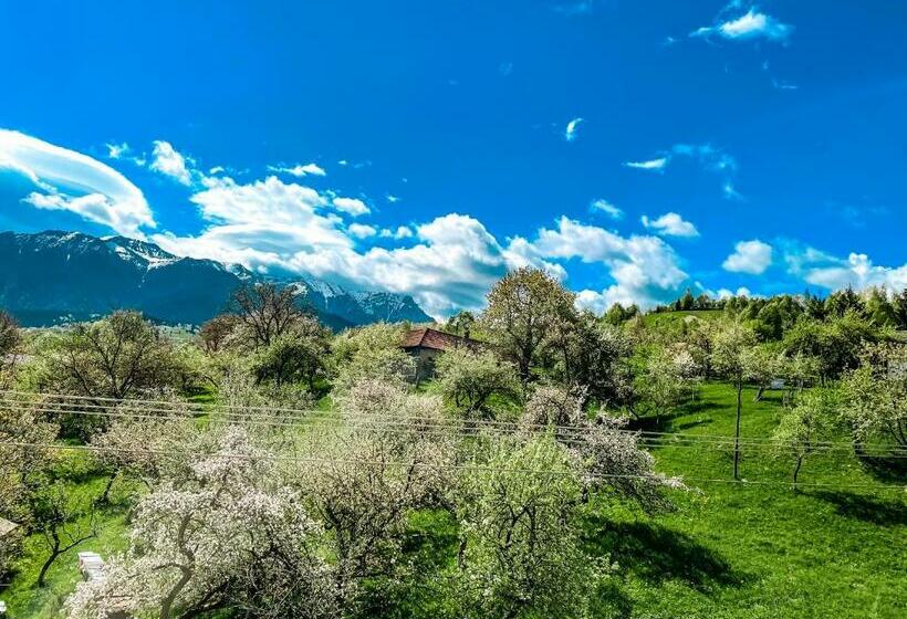 غرفة ديلوكس سرير كينج, Transylvania Mountain View Cdi