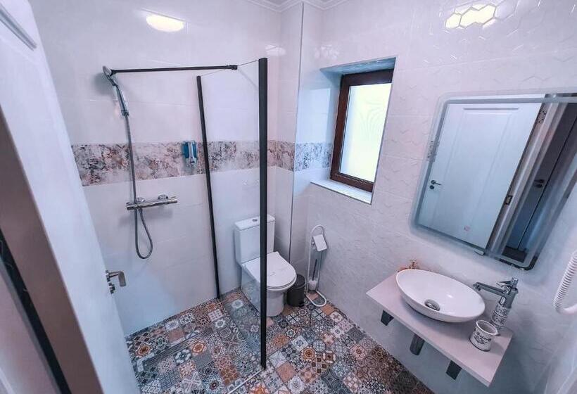 غرفة قياسية, Transylvania Mountain View Cdi