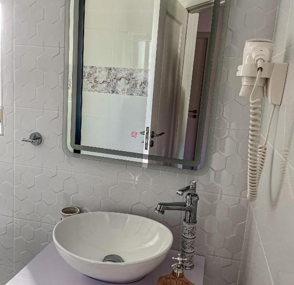 غرفة قياسية, Transylvania Mountain View Cdi