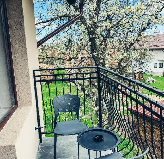 غرفة قياسية, Transylvania Mountain View Cdi