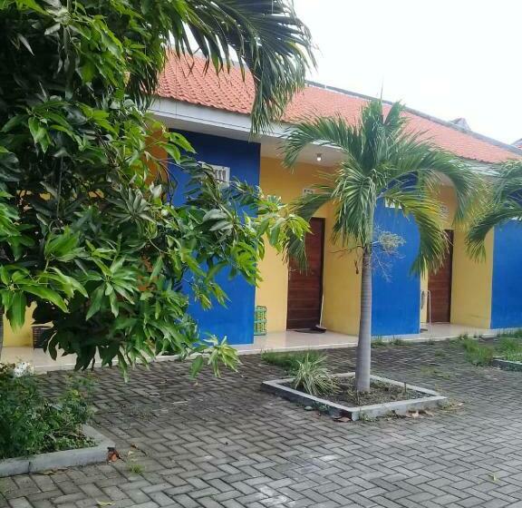 经济房, Kost Backpacker