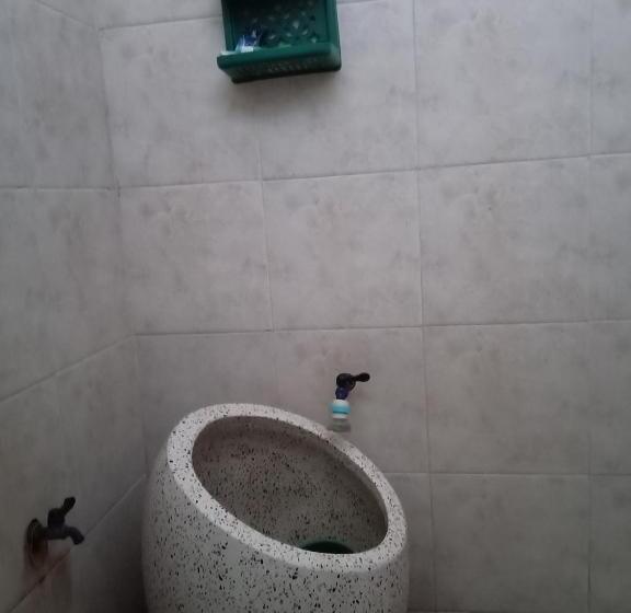 经济房, Kost Backpacker