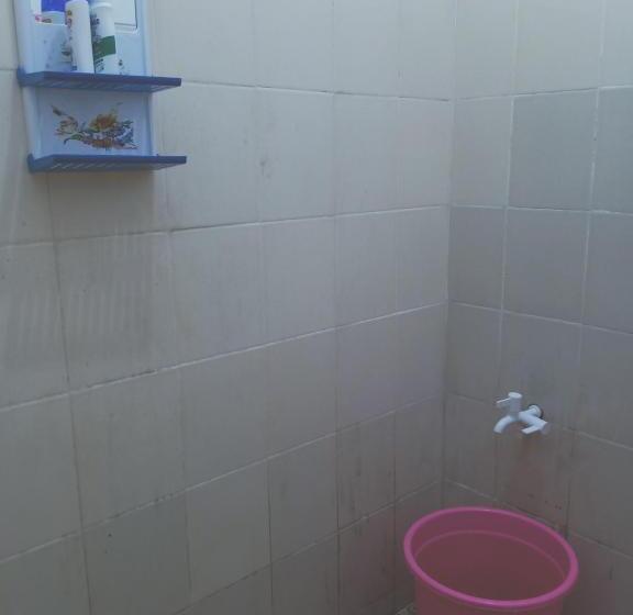 标准间, Kost Backpacker