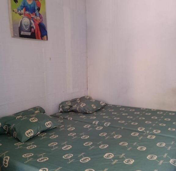 经济房, Kost Backpacker