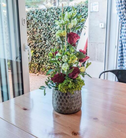 חדר סטודיו סטנדרד, Belle Vue Royan