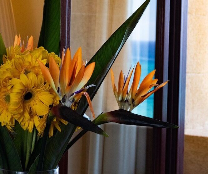 جناح مطلّ علي البحر, Grande Albergo Delle Rose