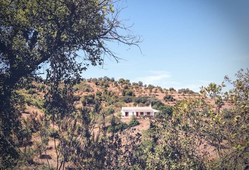 اتاق کلاسیک, Herdade Da Corte