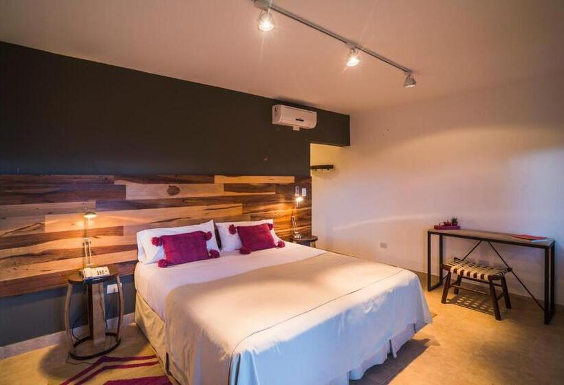 غرفة قياسية مطلّة علي الحديقة, Viñas De Cafayate Wine Resort