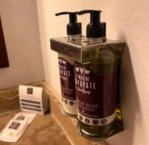 シングルデラックスルーム, Viñas De Cafayate Wine Resort