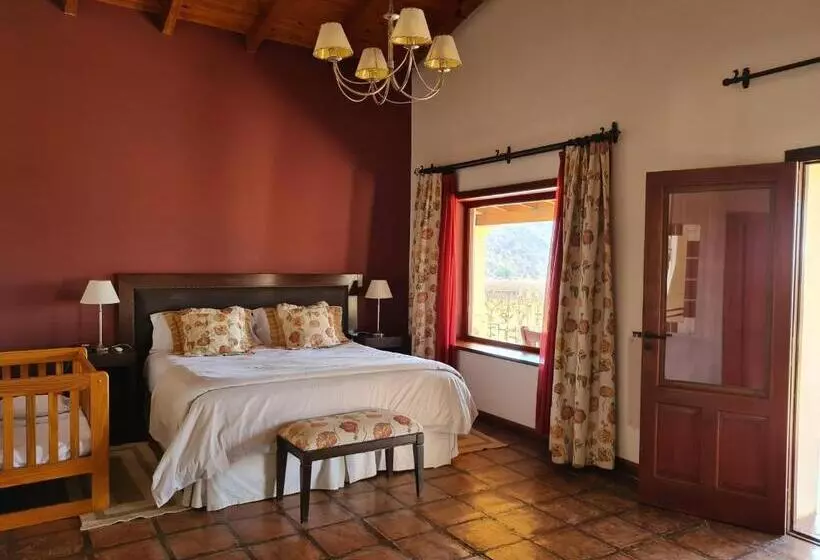 シングルデラックスルーム, Viñas De Cafayate Wine Resort