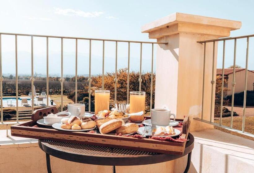 غرفة قياسية مطلّة علي الحديقة, Viñas De Cafayate Wine Resort