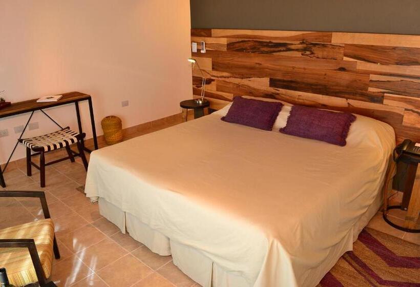 غرفة قياسية مطلّة علي الحديقة, Viñas De Cafayate Wine Resort