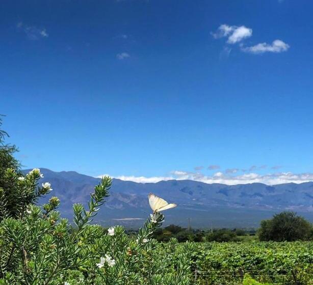 غرفة قياسية ذات إطلالة, Viñas De Cafayate Wine Resort