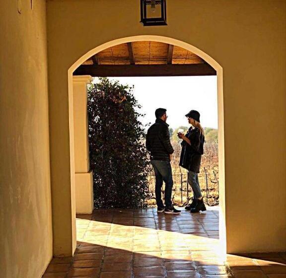 带观景的标准间, Viñas De Cafayate Wine Resort