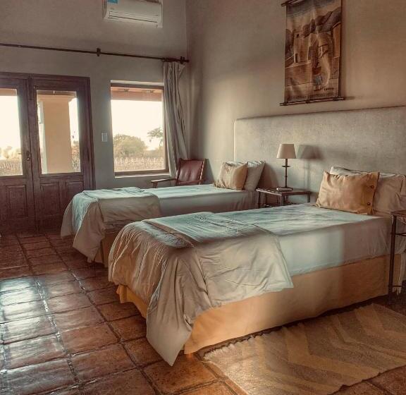 غرفة قياسية ذات إطلالة, Viñas De Cafayate Wine Resort