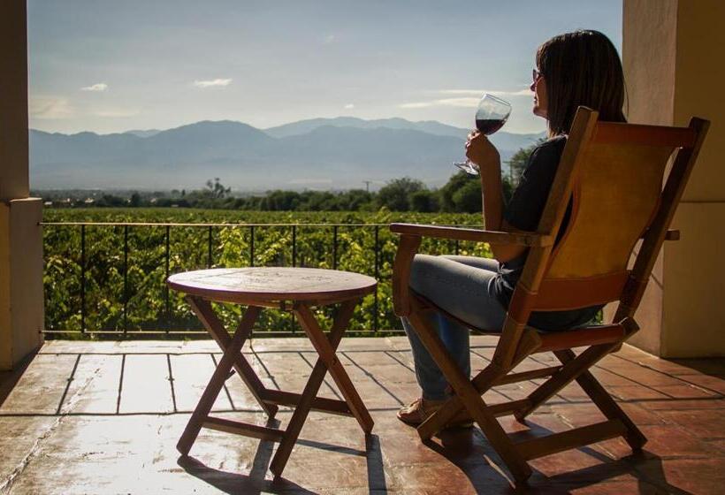 غرفة قياسية ذات إطلالة, Viñas De Cafayate Wine Resort