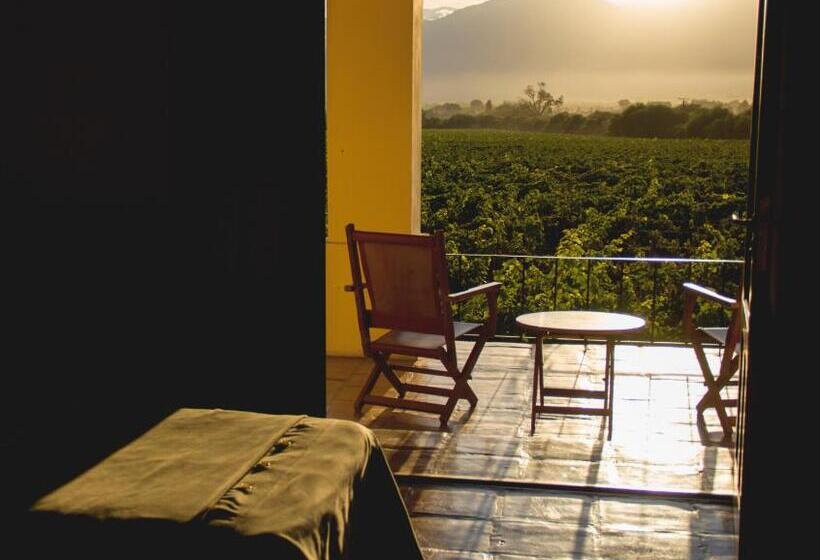 带观景的标准间, Viñas De Cafayate Wine Resort