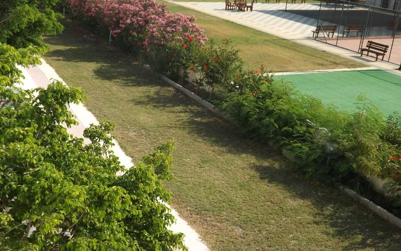 スタンダードルーム, Leonidas Hotel & Studios