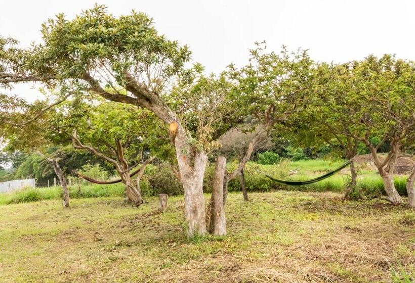 اتاق لوکس, Monteverde Ecolove