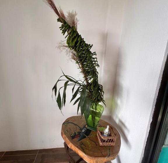 ویلای 3 خوابه, Monteverde Ecolove