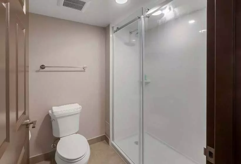 スイート, Executive Residency By Best Western Torontomississauga