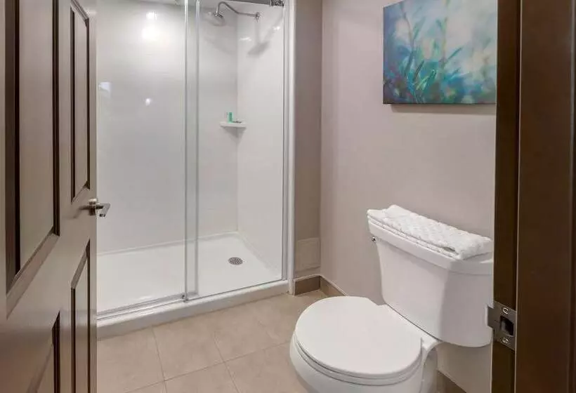 スイート, Executive Residency By Best Western Torontomississauga