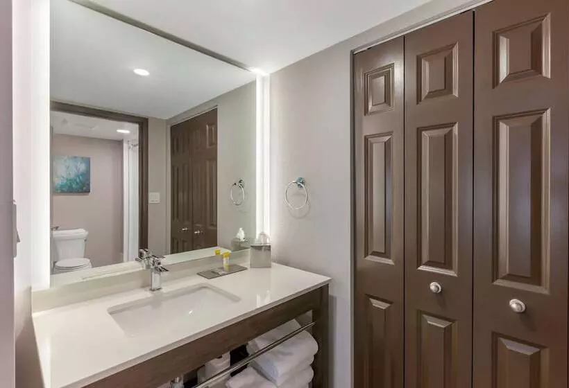 スイート, Executive Residency By Best Western Torontomississauga
