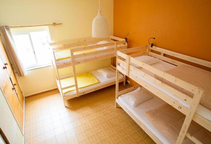 Кровать в Общей Комнате, Good Feeling Hostel & Guest House
