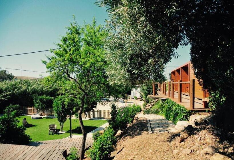 带共用浴室的标准房间, Good Feeling Hostel & Guest House