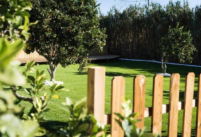 豪华房间, Good Feeling Hostel & Guest House