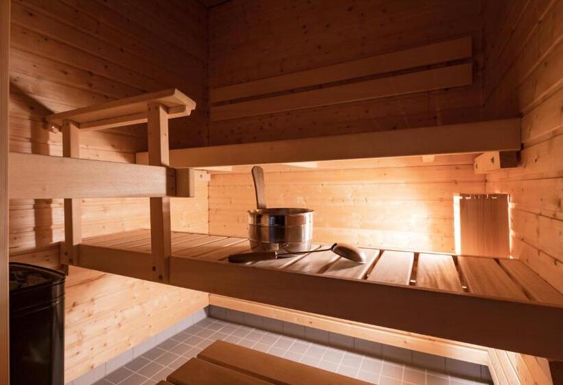 スタンダードスタジオ, Lapland Hotels Saaga