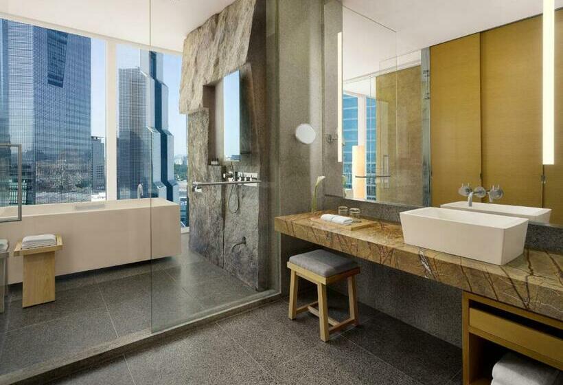 Номер Deluxe Кровать Кинг Вид на Город, Park Hyatt Seoul