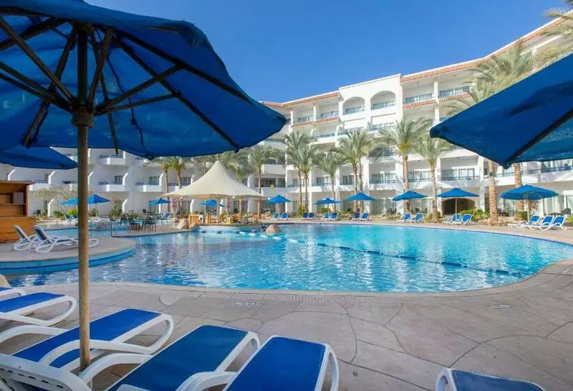 اتاق استاندارد, Naama Bay Hotel & Resort