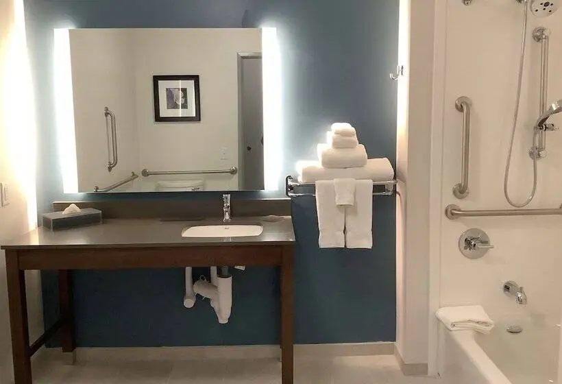 障害者適応デラックスルーム, La Quinta Inn & Suites By Wyndham Littleton Red Rocks