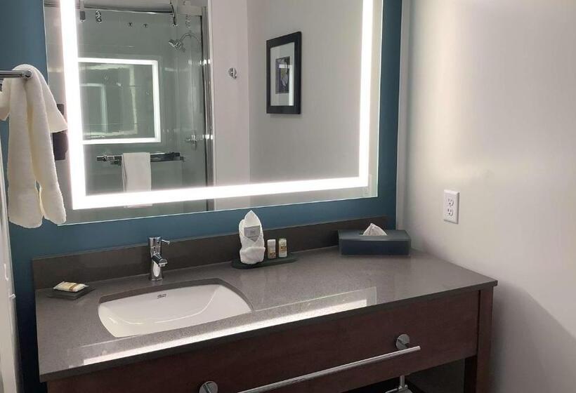 キングサイズベッドのスイートルーム, La Quinta Inn & Suites By Wyndham Littleton Red Rocks